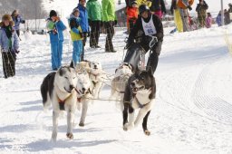 Lenk 2012 SM